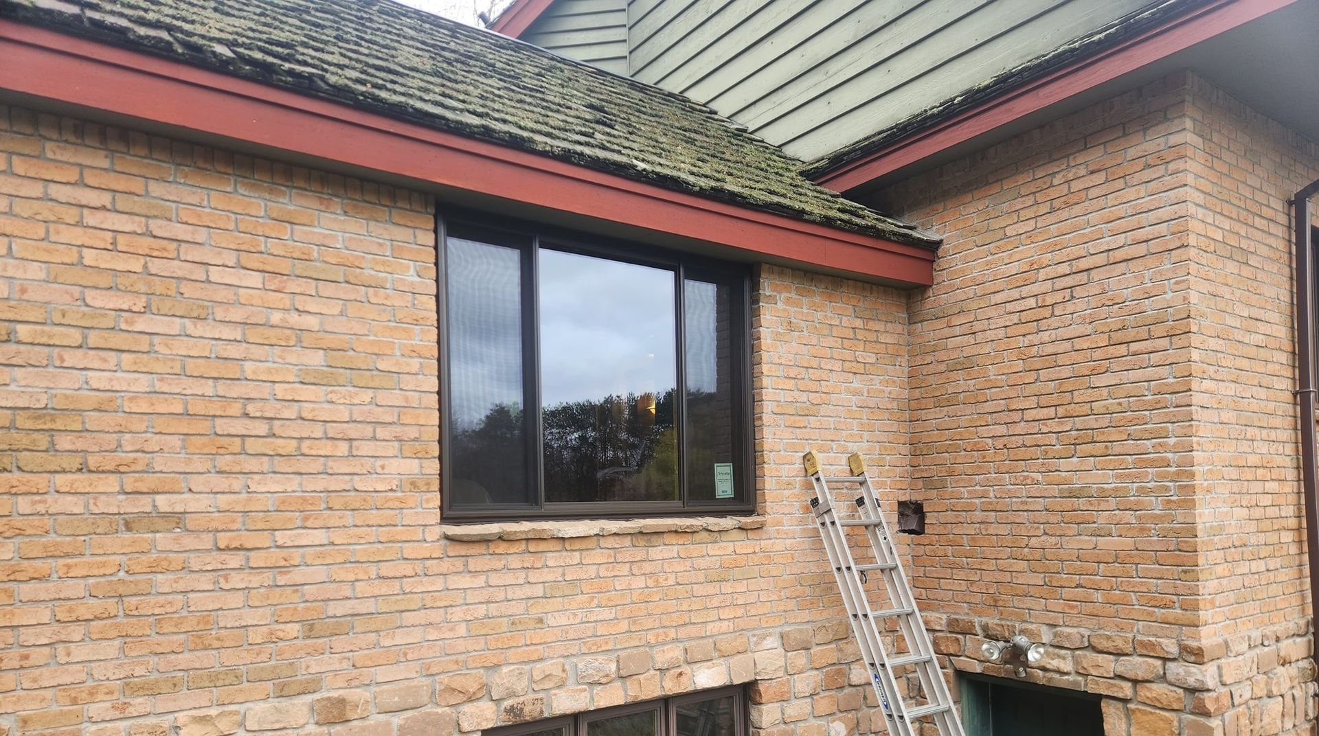 A ladder leans against a brick house exterior below a sliding window and a roof covered in green moss.