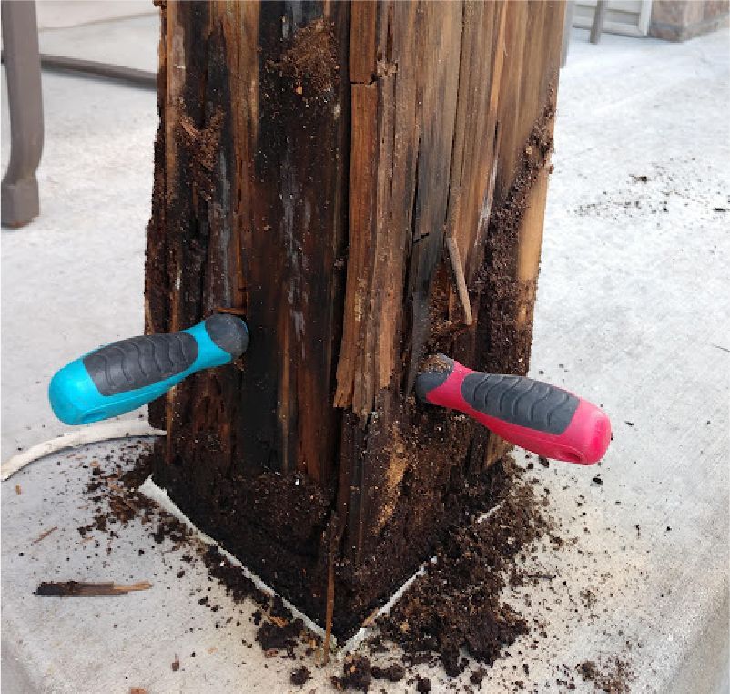 A badly rotted wooden post standing on concrete, with two screwdriver handles stuck into the soft, decaying wood.