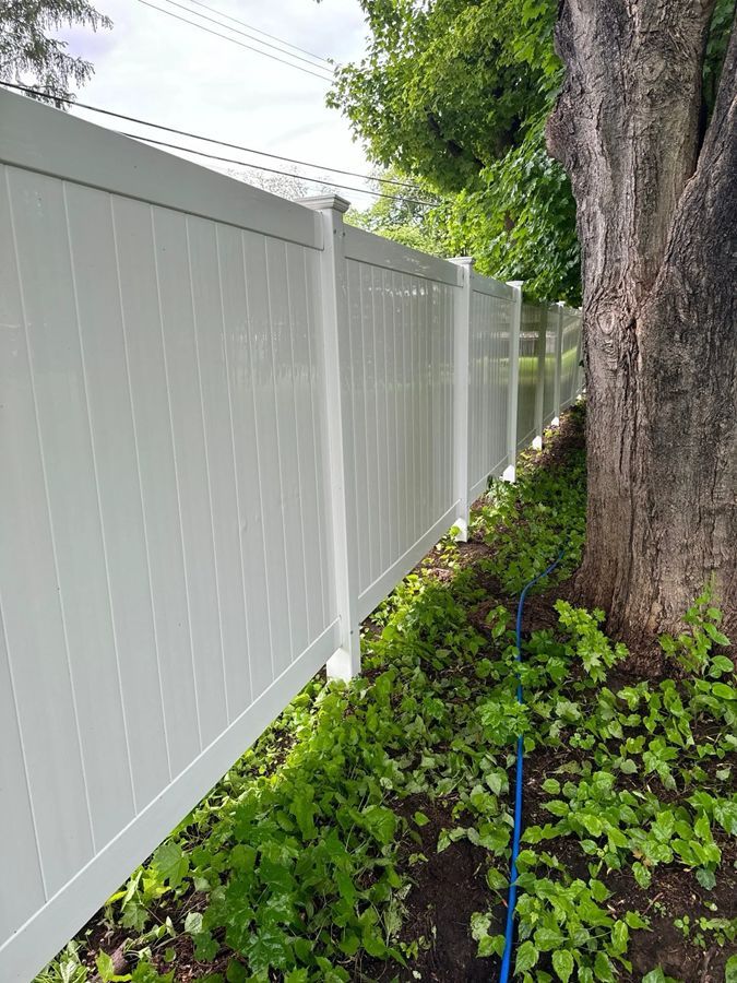 White vinyl fence beside a tree with green foliage.