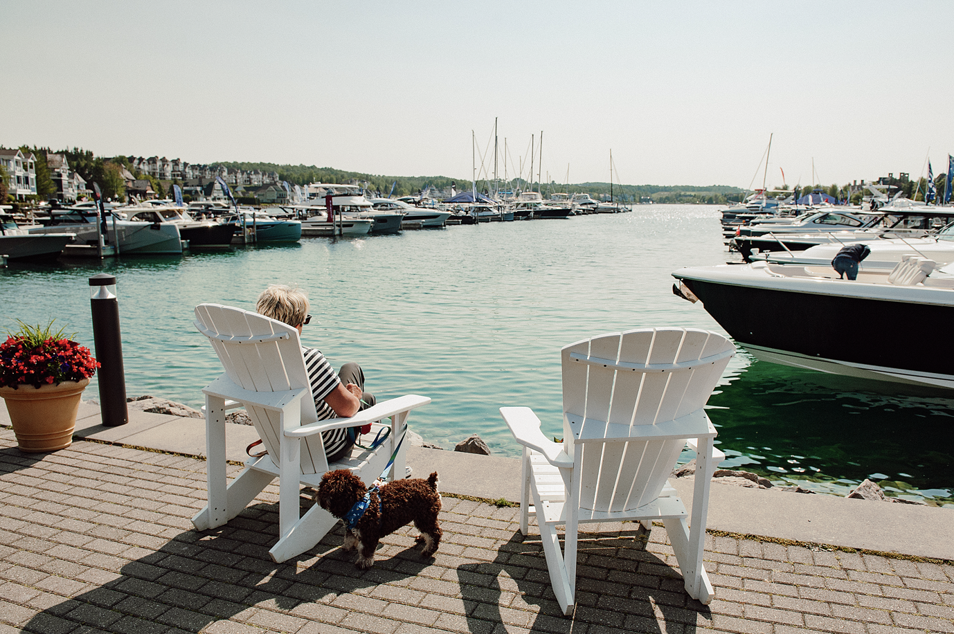 A woman is sitting in a chair next to a dog.