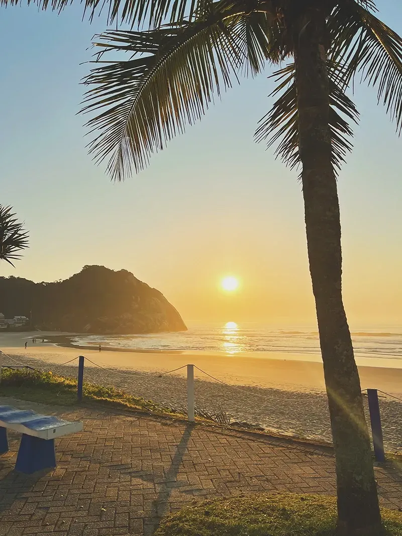 Um nascer do sol dourado sobre uma praia de areia com uma palmeira em primeiro plano e uma colina rochosa ao longe.
