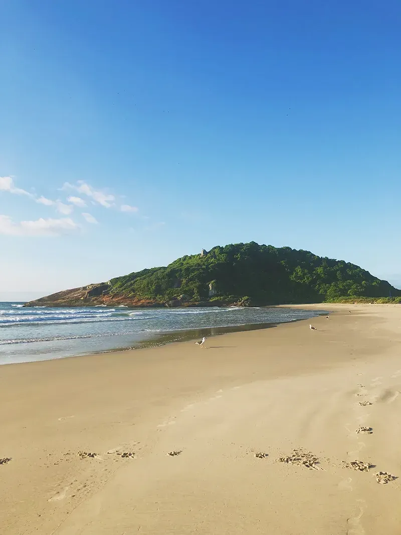 Praia de areia que leva a uma colina arborizada sob um céu azul límpido.