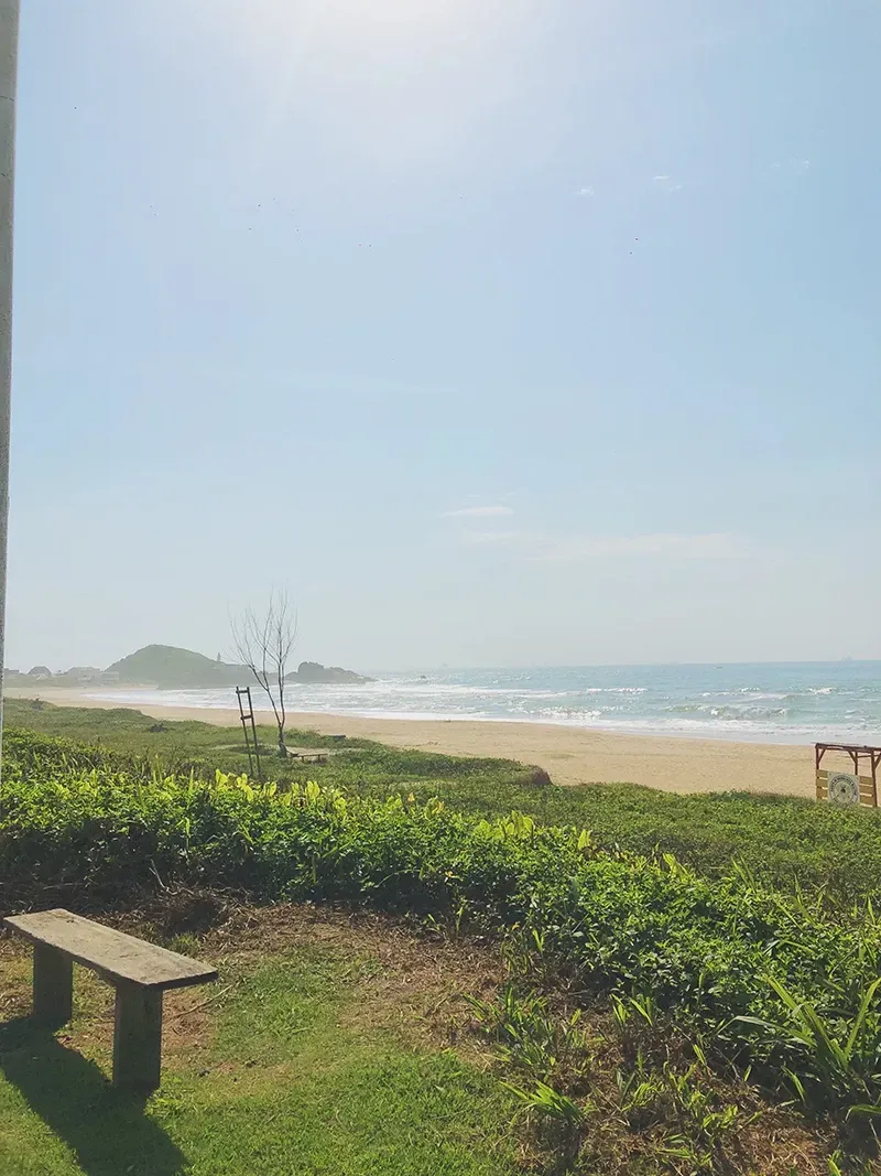 Vista ensolarada de uma praia de areia e do oceano a partir de uma colina gramada, com um banco de madeira em primeiro plano.