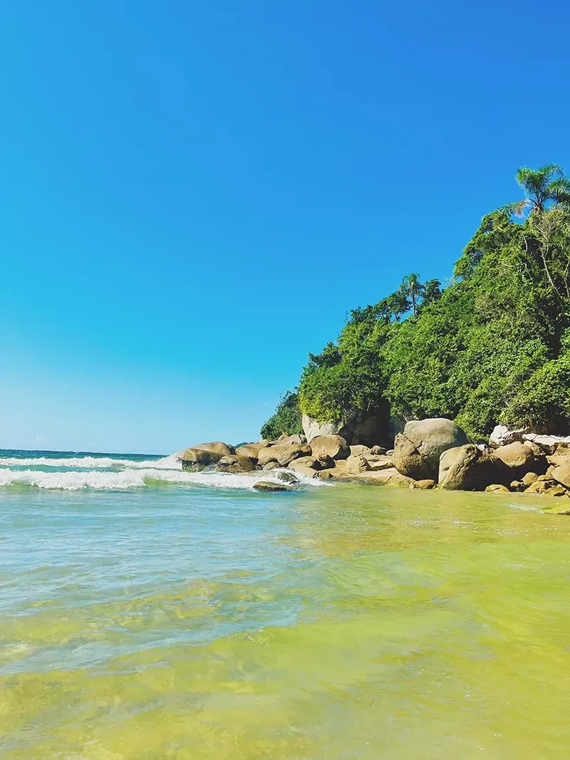 Águas rasas e cristalinas encontram uma costa rochosa ladeada por árvores verdejantes sob um céu azul brilhante.