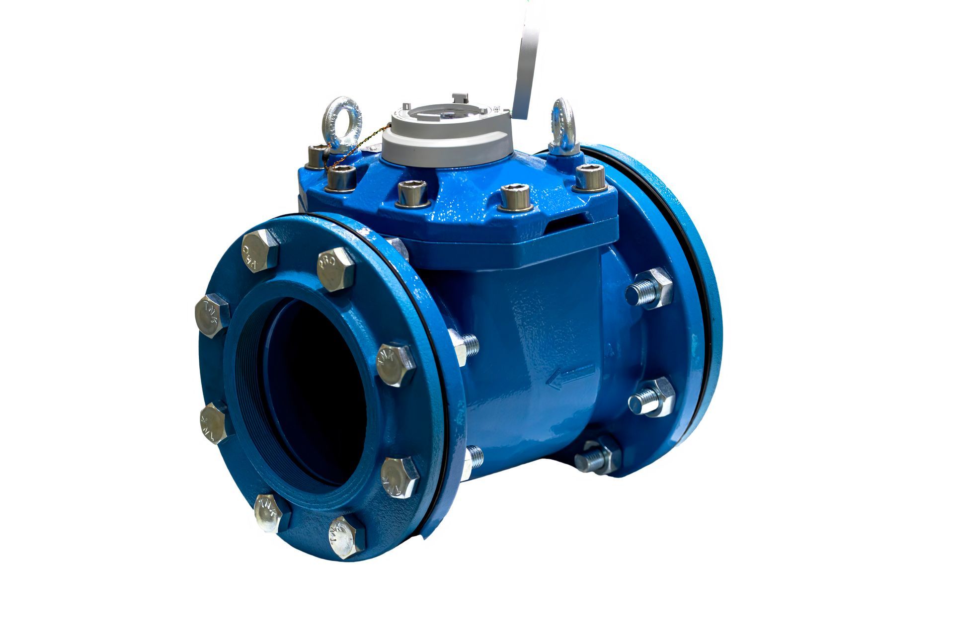 Picture of a brand-new blue water pump on a white background.