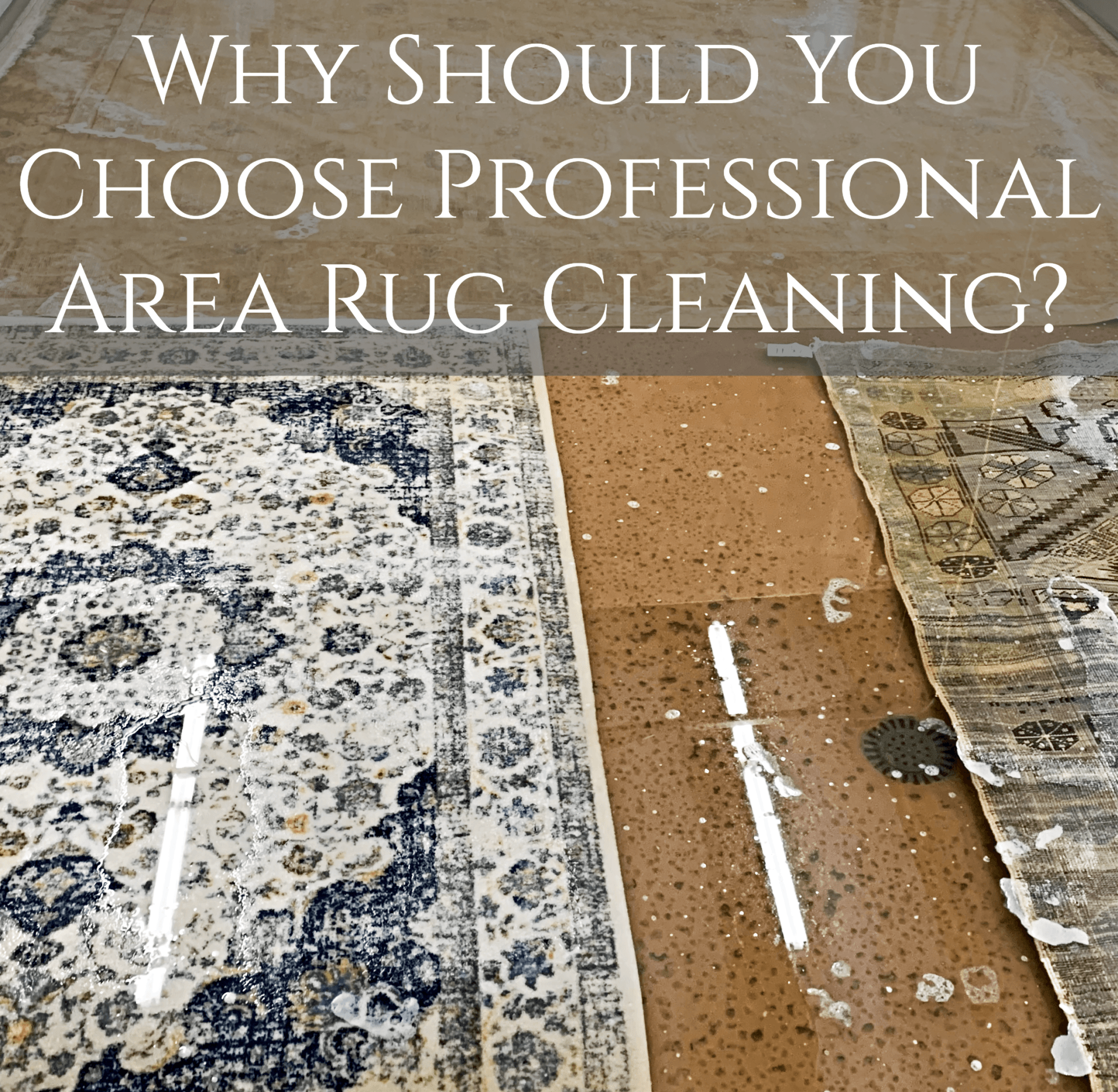 professional area rug cleaning little rock