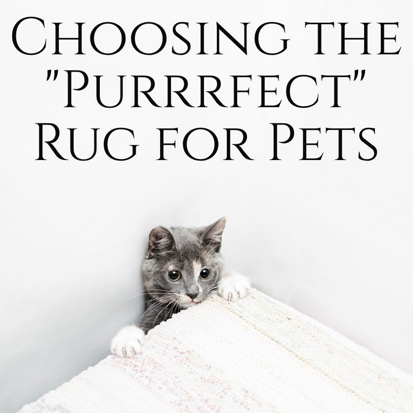 Choosing the Right Rug for Your Pet