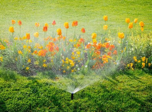 irrigazione su fiori in giardino