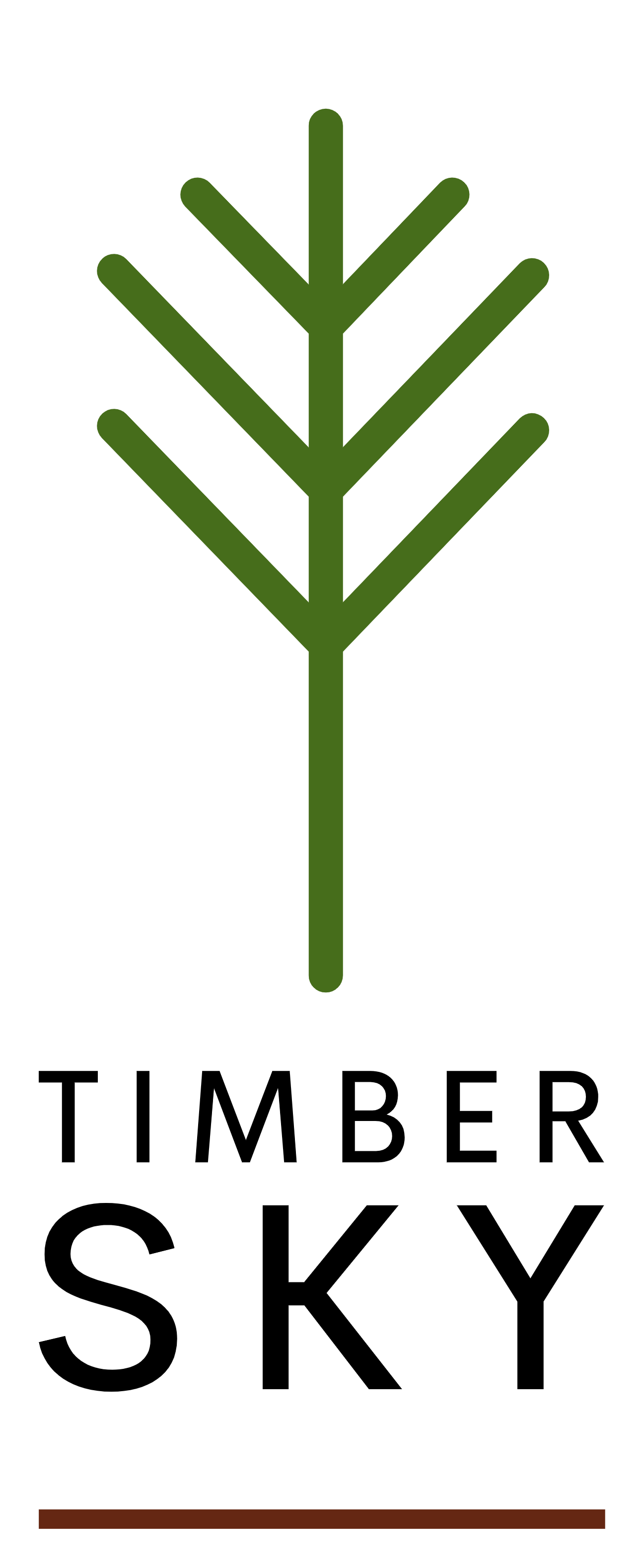 Timber Sky Logo
