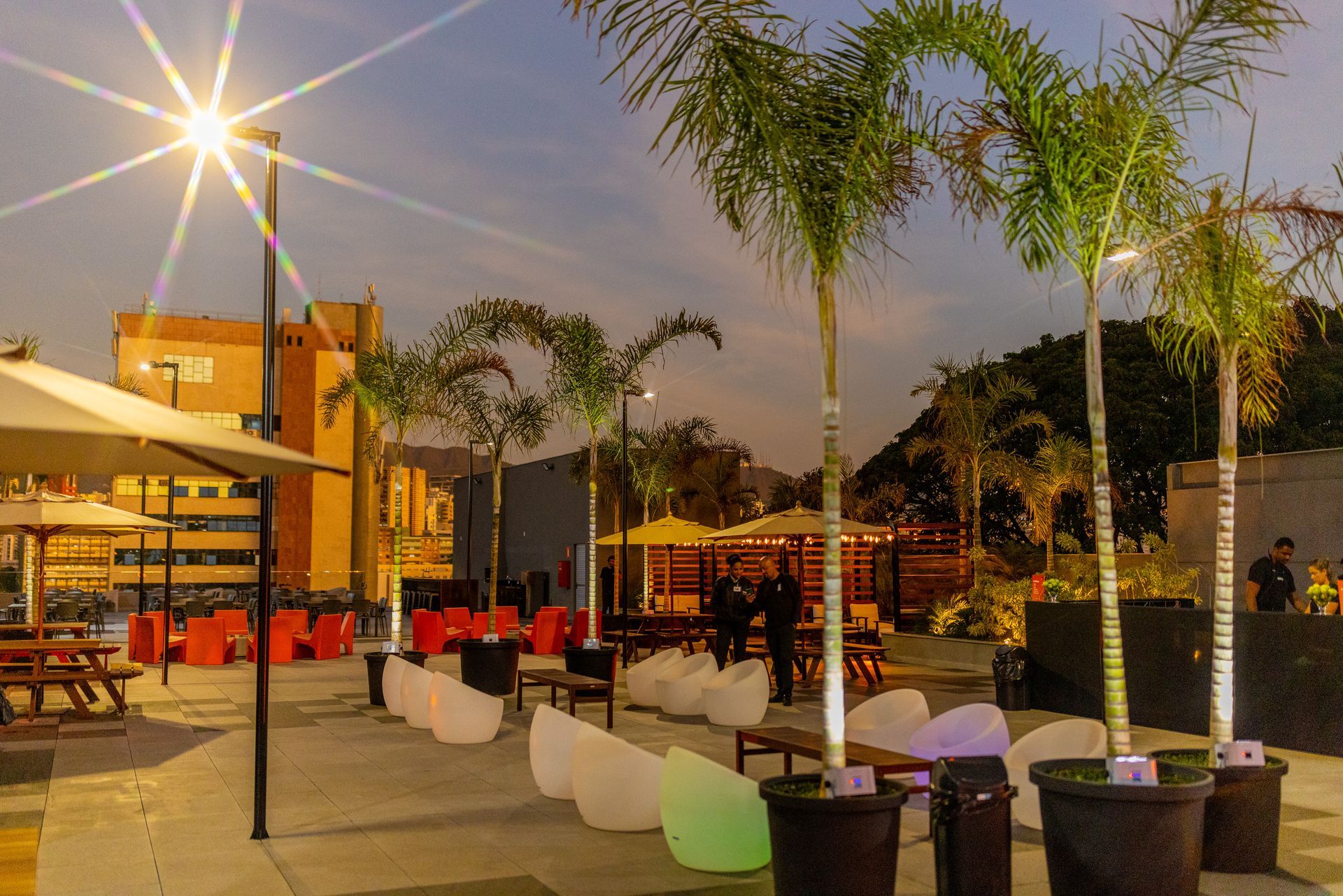 Un patio con palmeras y sombrillas por la noche.