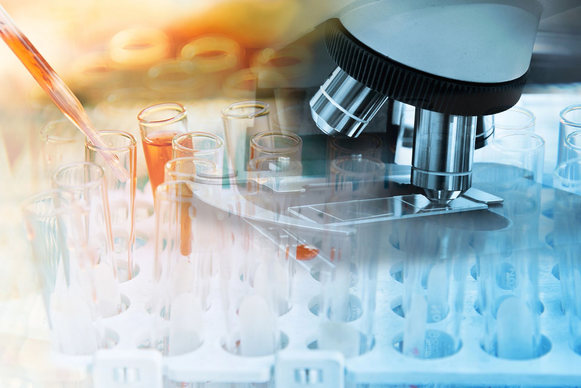 Dentista che esamina la bocca del paziente con uno specchio. Guanti blu, bocca spalancata, denti bianchi, in casa.