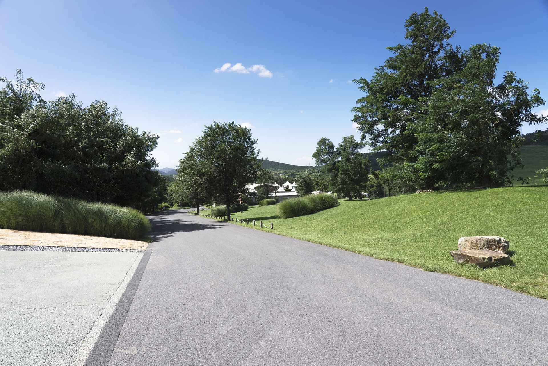 A road going through a grassy area with trees on both sides