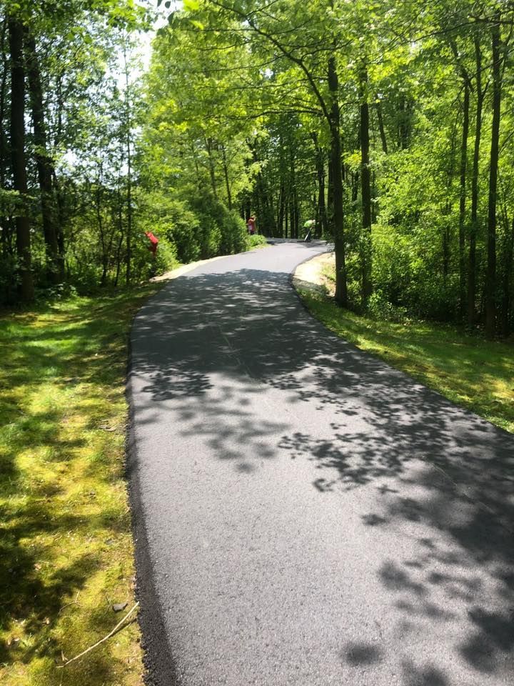 A road going through a forest with trees on both sides