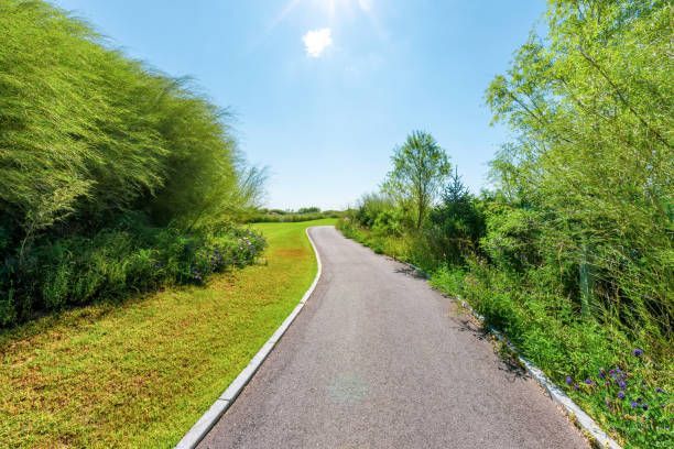 A road going through a park with trees and grass on both sides.
