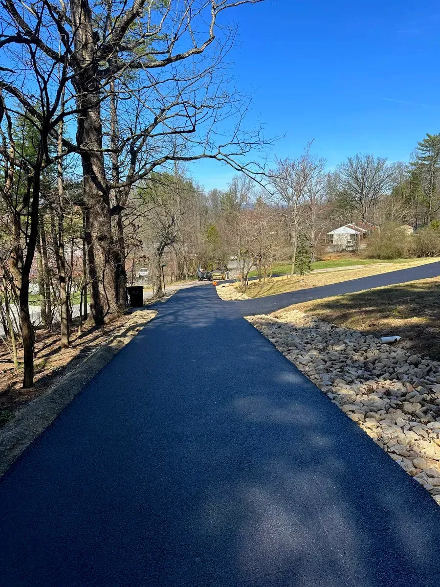 Paved path through a wooded area on a sunny day.