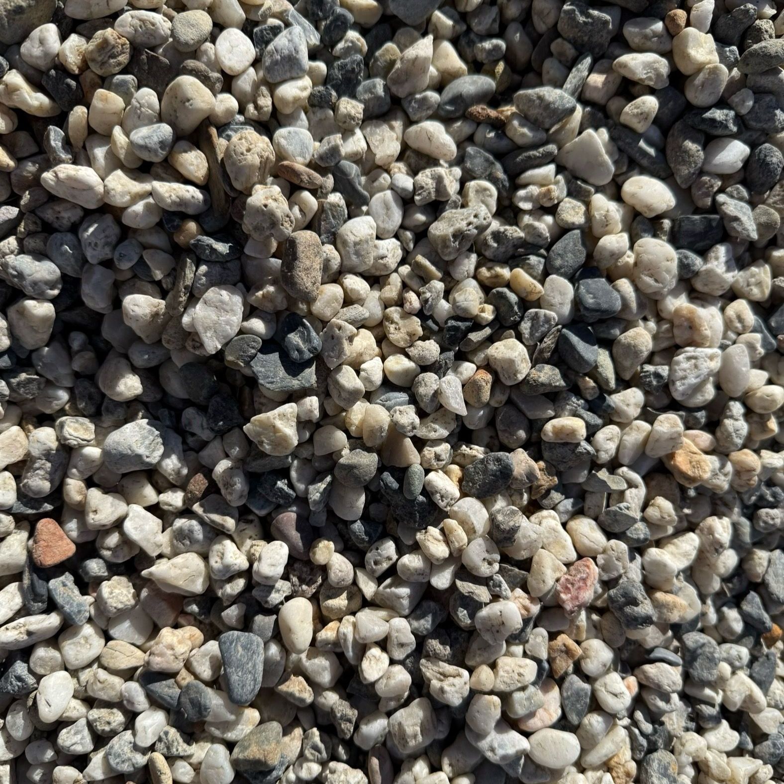 A pile of gravel that looks like a pile of hearts