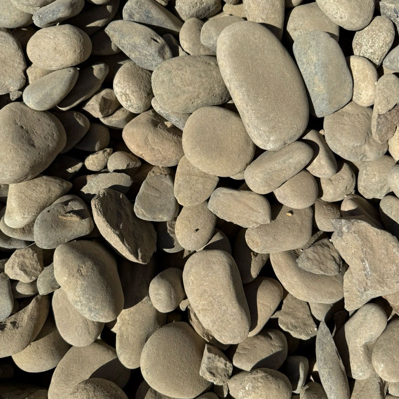 A pile of rocks that looks like a pile of mushrooms