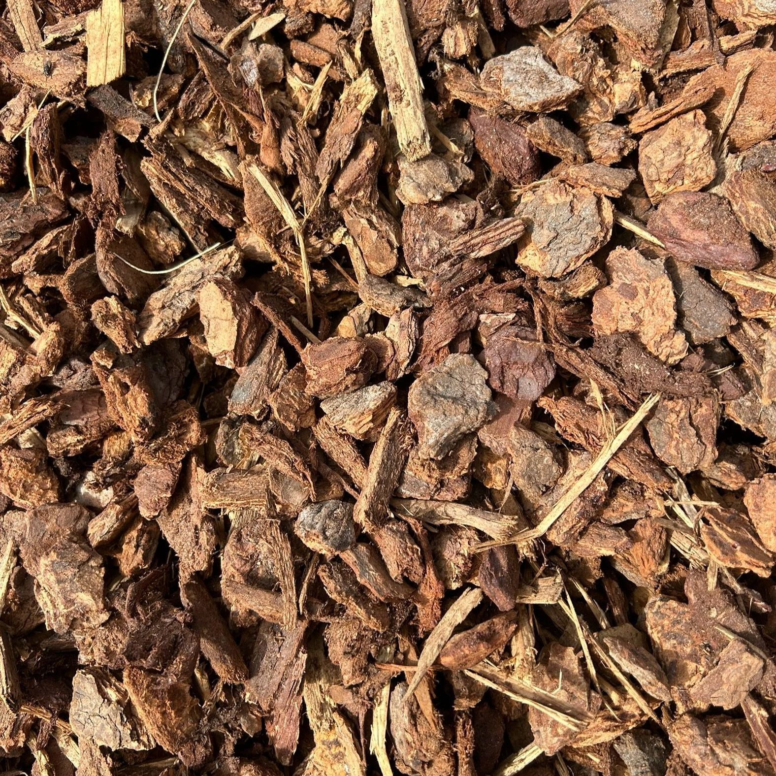 A close up of a pile of wood chips.