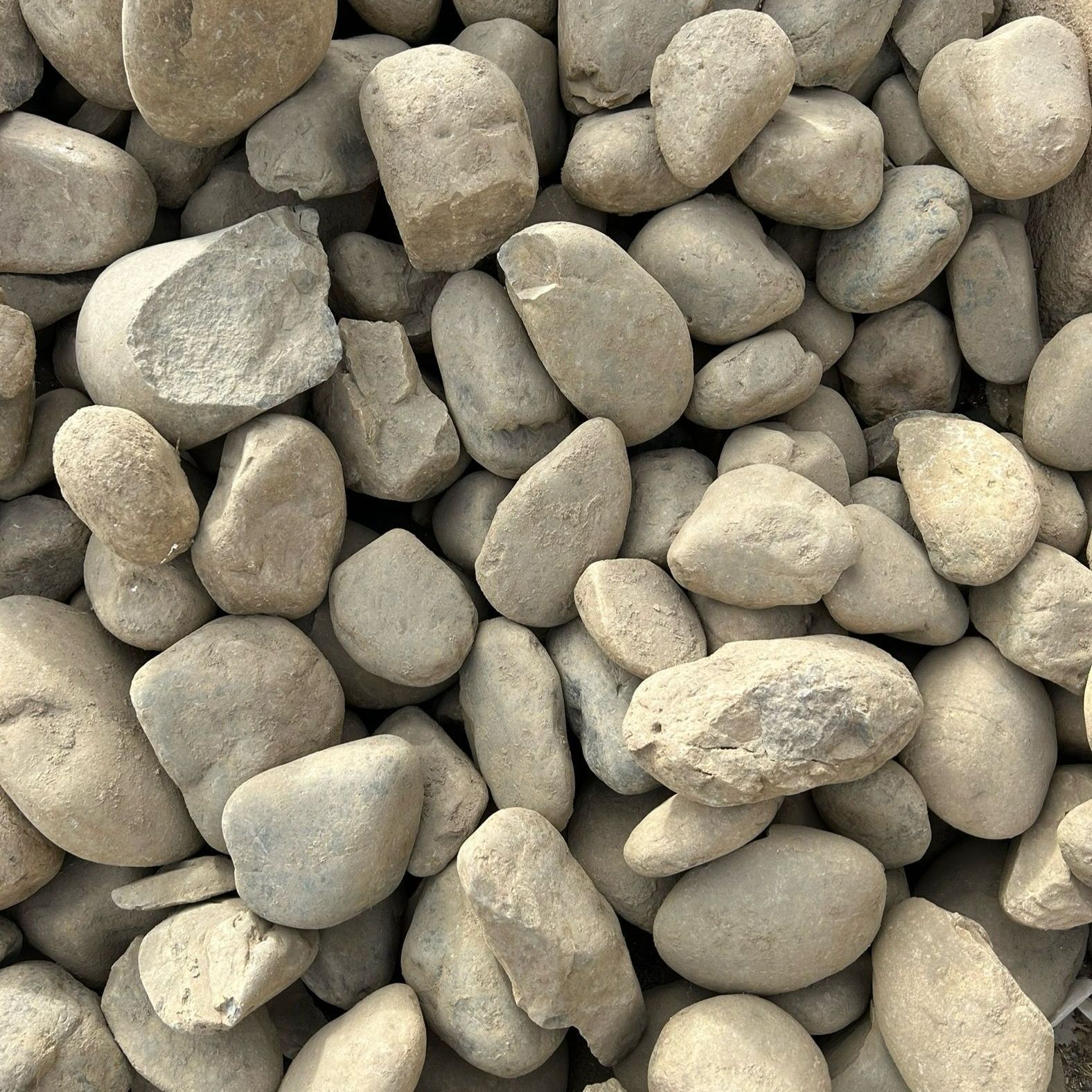 A pile of rocks is sitting on the ground
