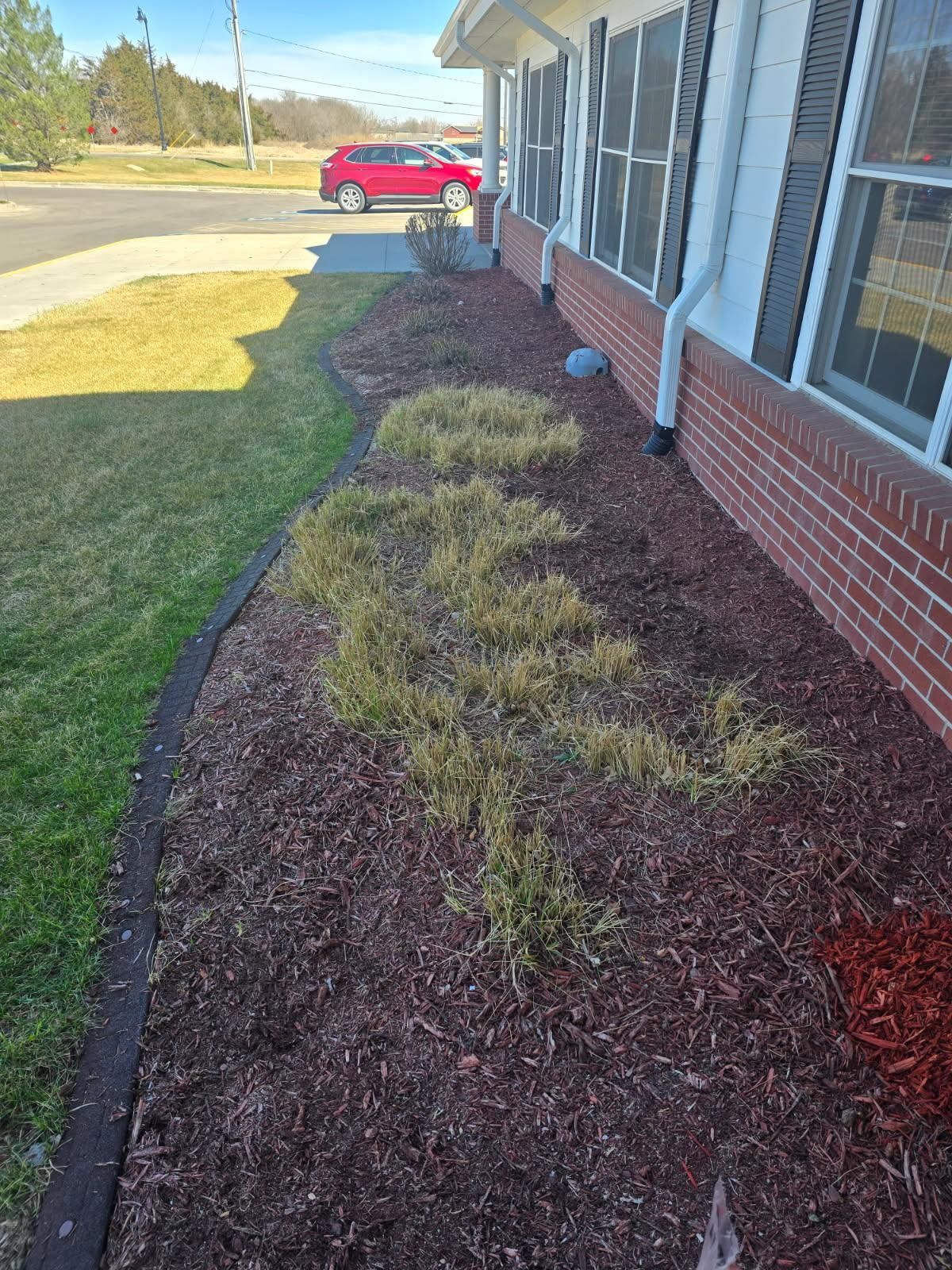 A brick building with brown mulch landscaping containing patches of dormant yellow grass along the foundation.