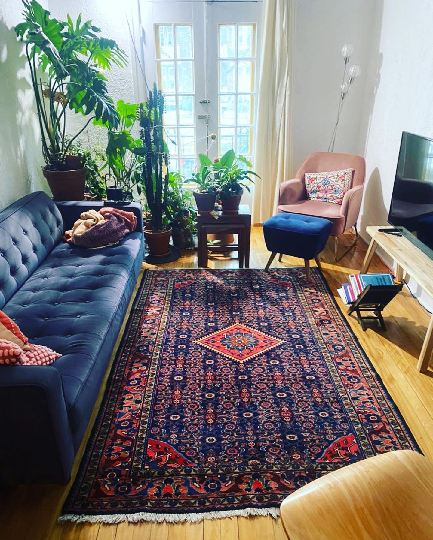 A living room with a couch , chair , rug and plants.