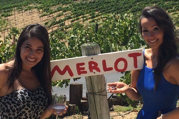 best limo wine tasting tours in Temecula