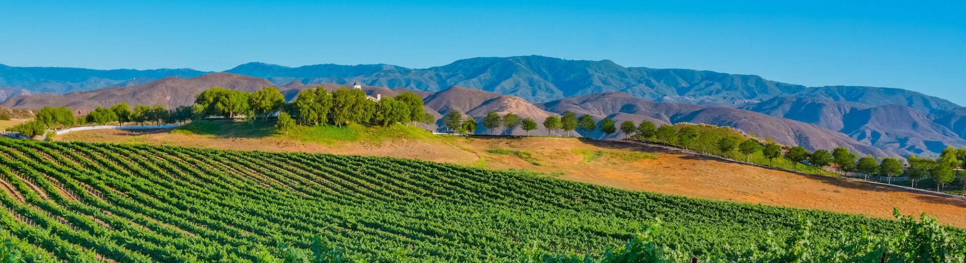 Limo Service Temecula