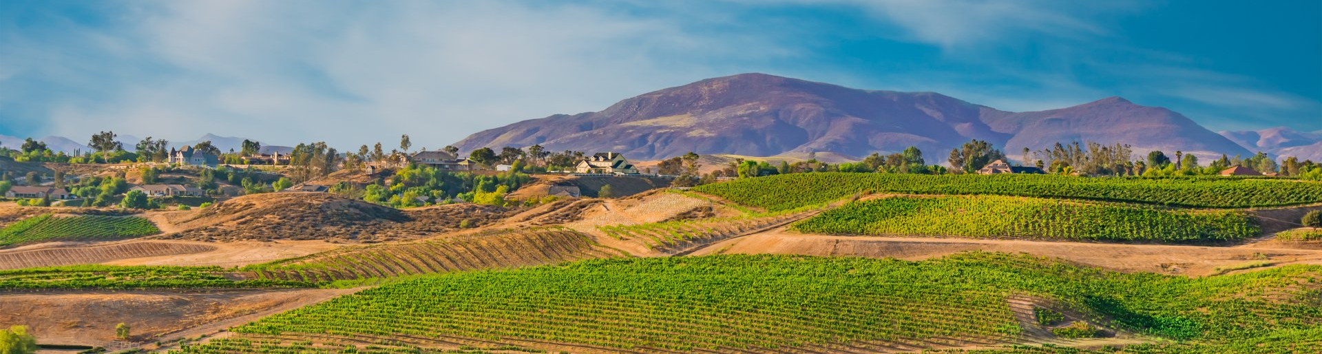 wedding transportation service