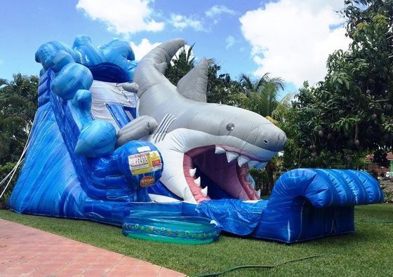 inflatable shark slide