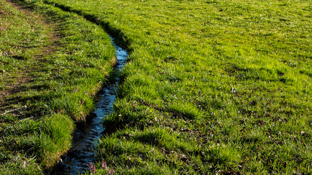 A narrow stream of water winds through a green grassy field under sunlight.