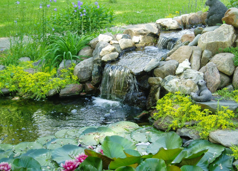 A small waterfall cascading into a pond with water lilies and surrounding greenery.