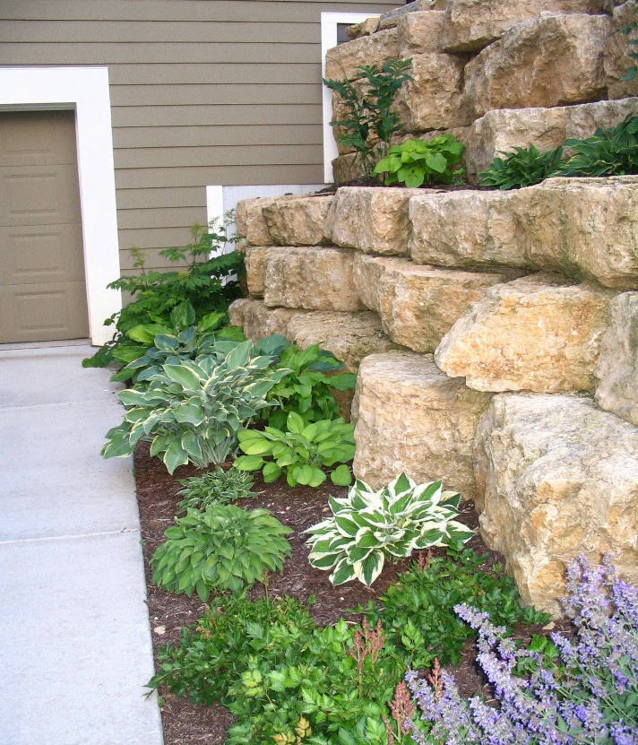 Stone retaining wall with layered rocks, planted with green and white hostas and purple flowers. Garage on left.