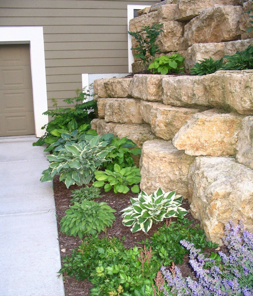 Rock wall with various green plants and purple flowers planted next to a garage.