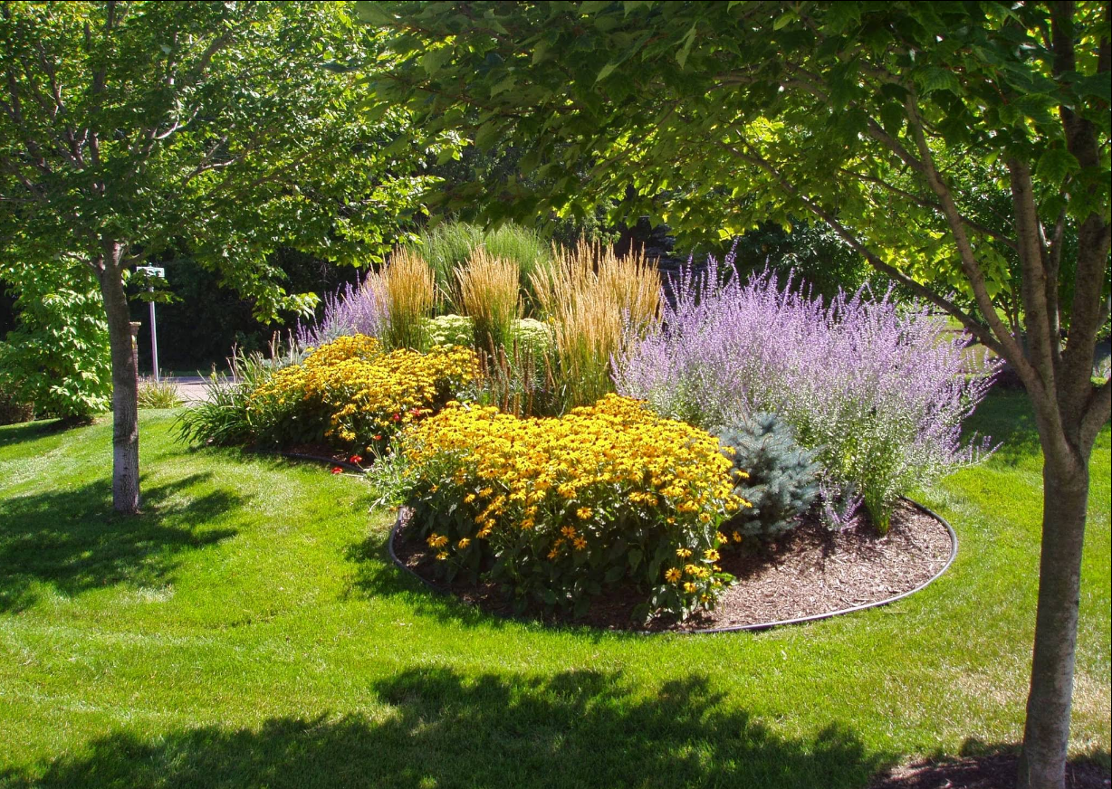 Colorful flower bed in a grassy yard, with trees in the background.