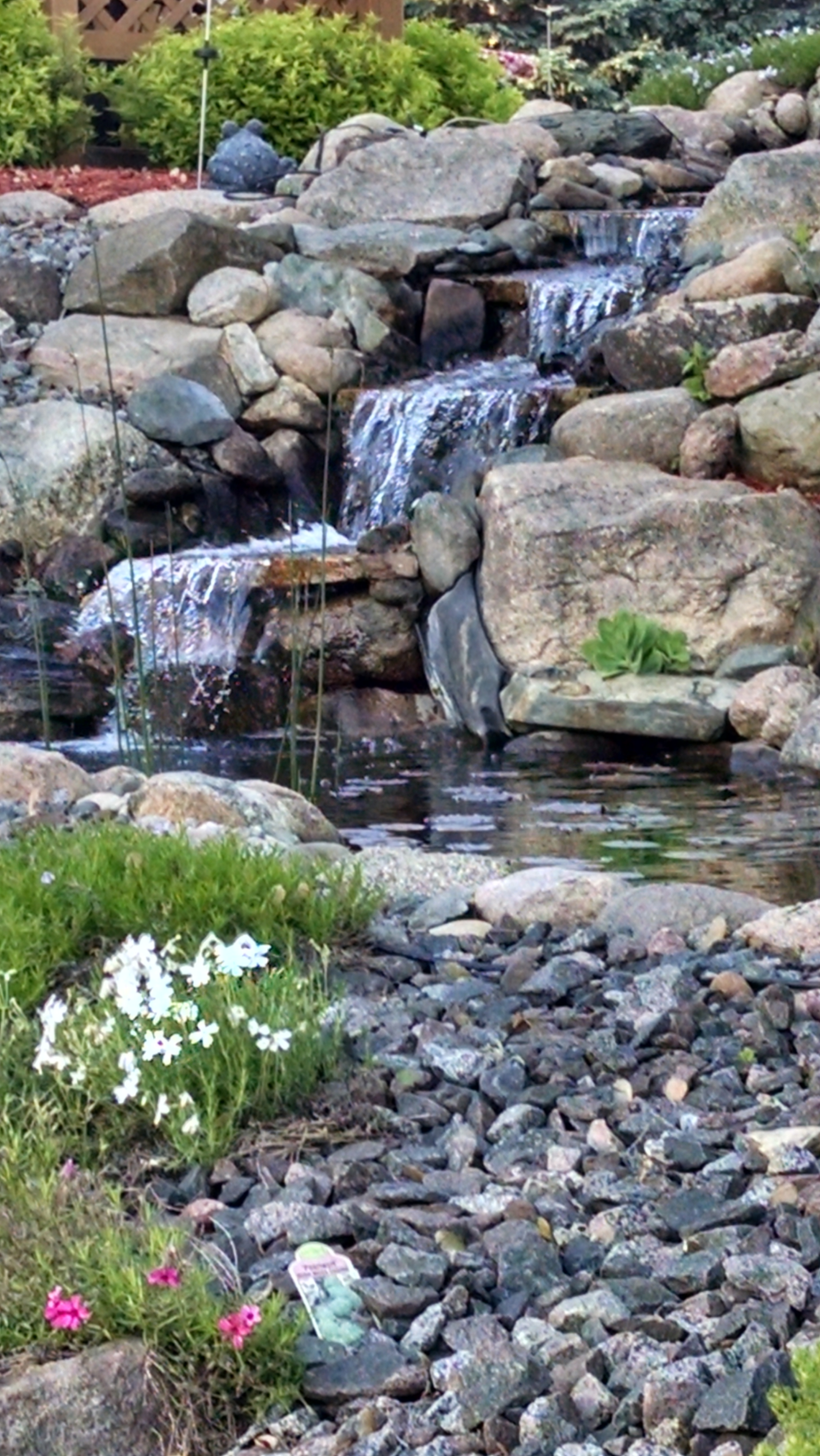 Stone path and wooden bridge over a small stream in a lush garden with tulips and various green plants.