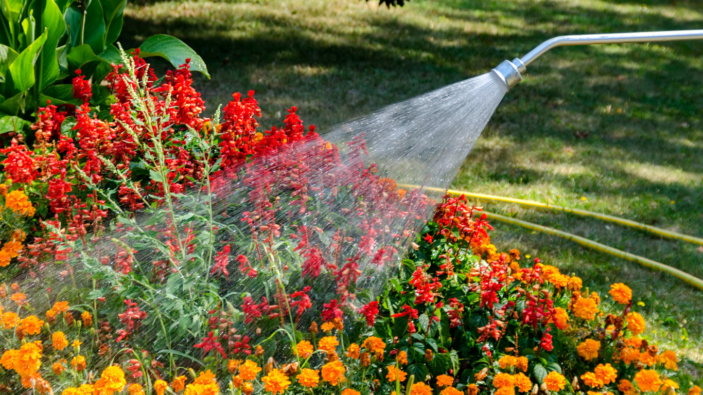 Water spraying on colorful red and orange flowers in a garden.