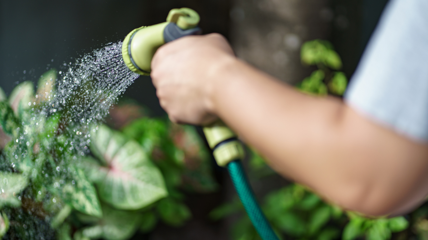 Person waters plants with a green hose and nozzle in an outdoor setting.