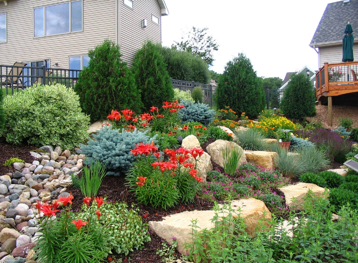 A colorful garden bed with large rocks, flowers, and shrubs, on a slope between two houses.