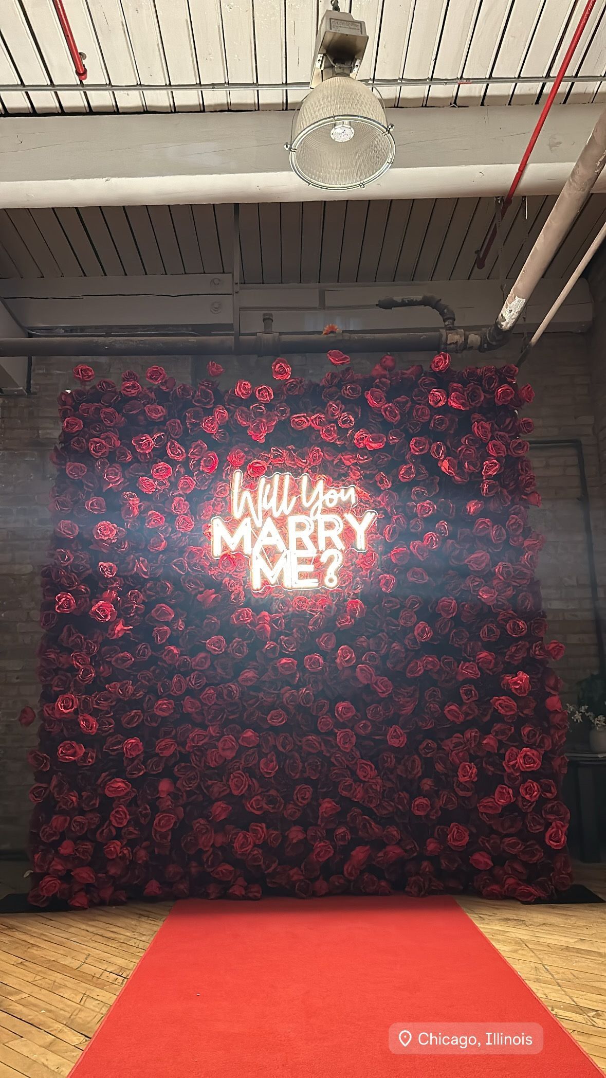 Red Rose Flower Wall Rental in Chicago With Will You Marry Me Sign