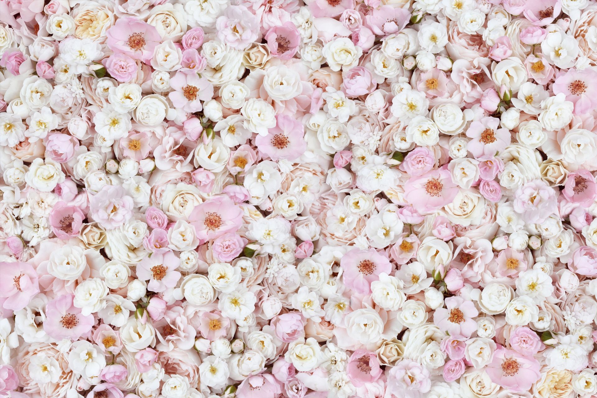 Chicago Flower Wall Rentals