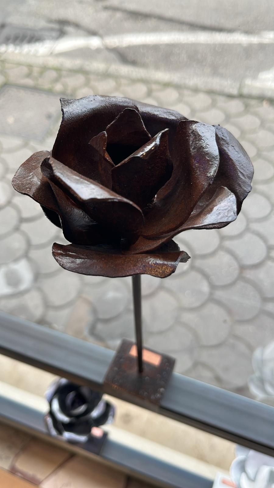 rosa