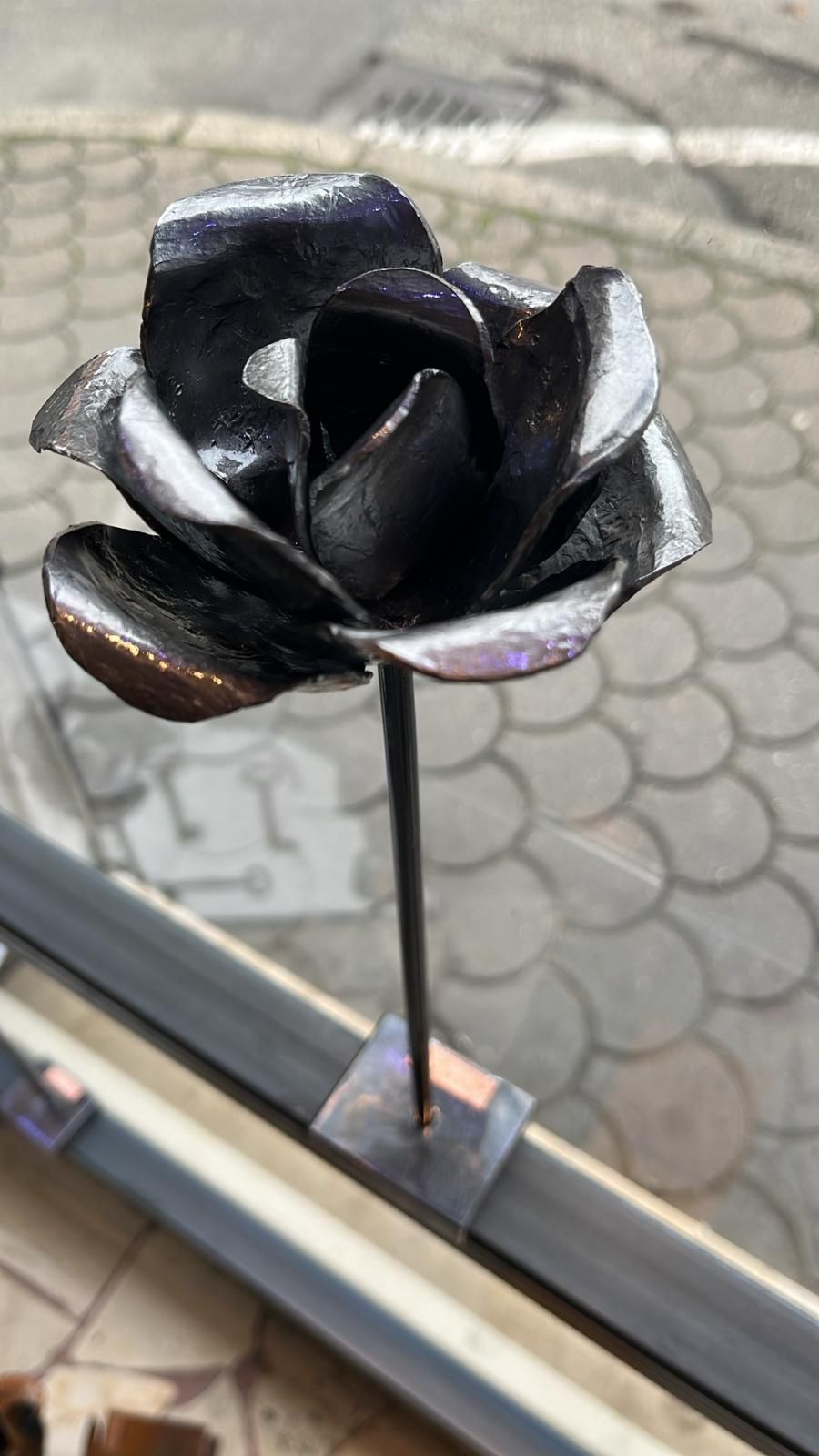 rosa