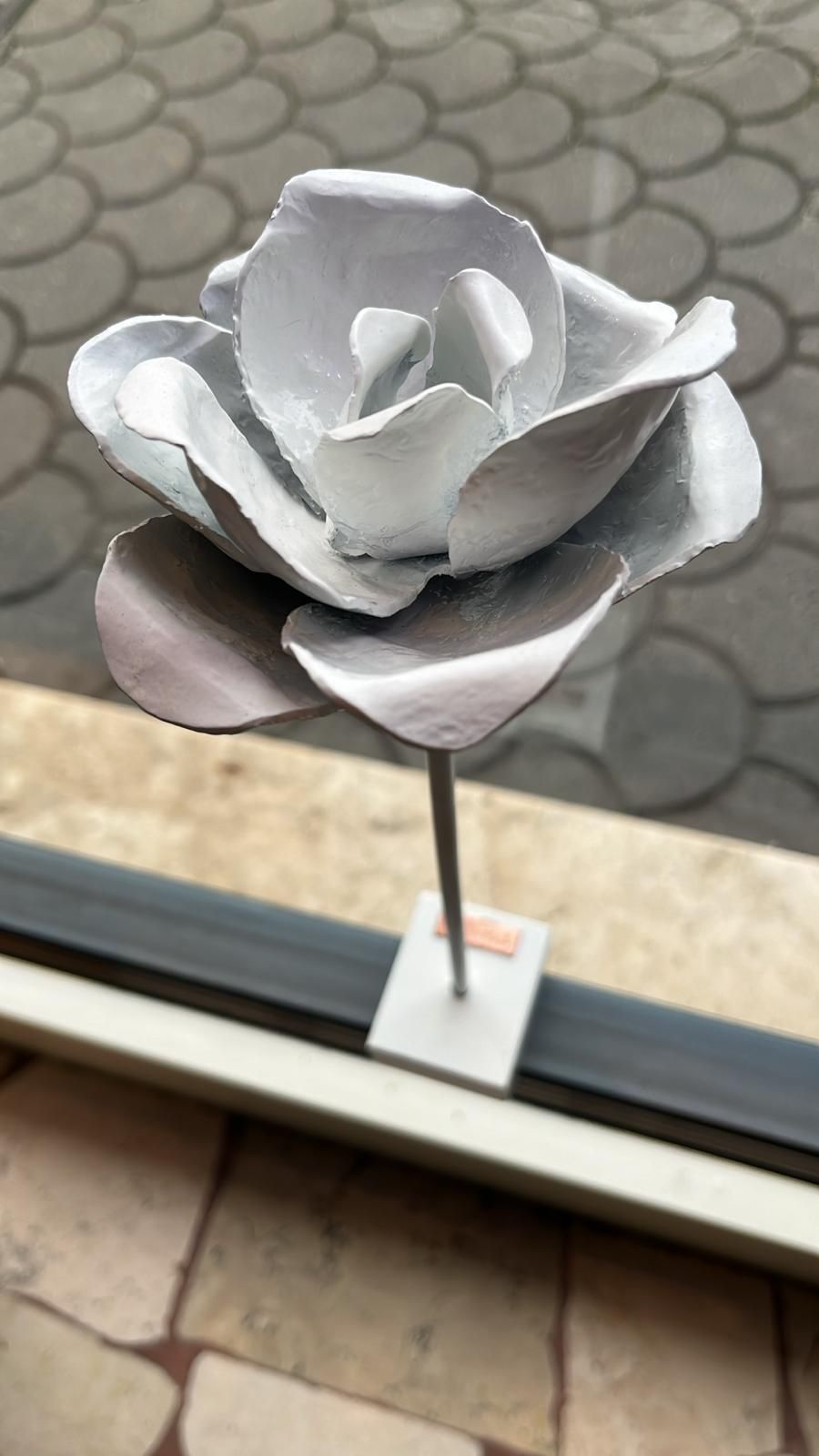 rosa