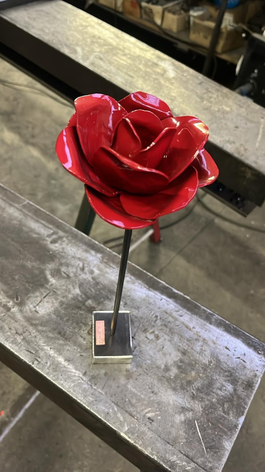 rosa