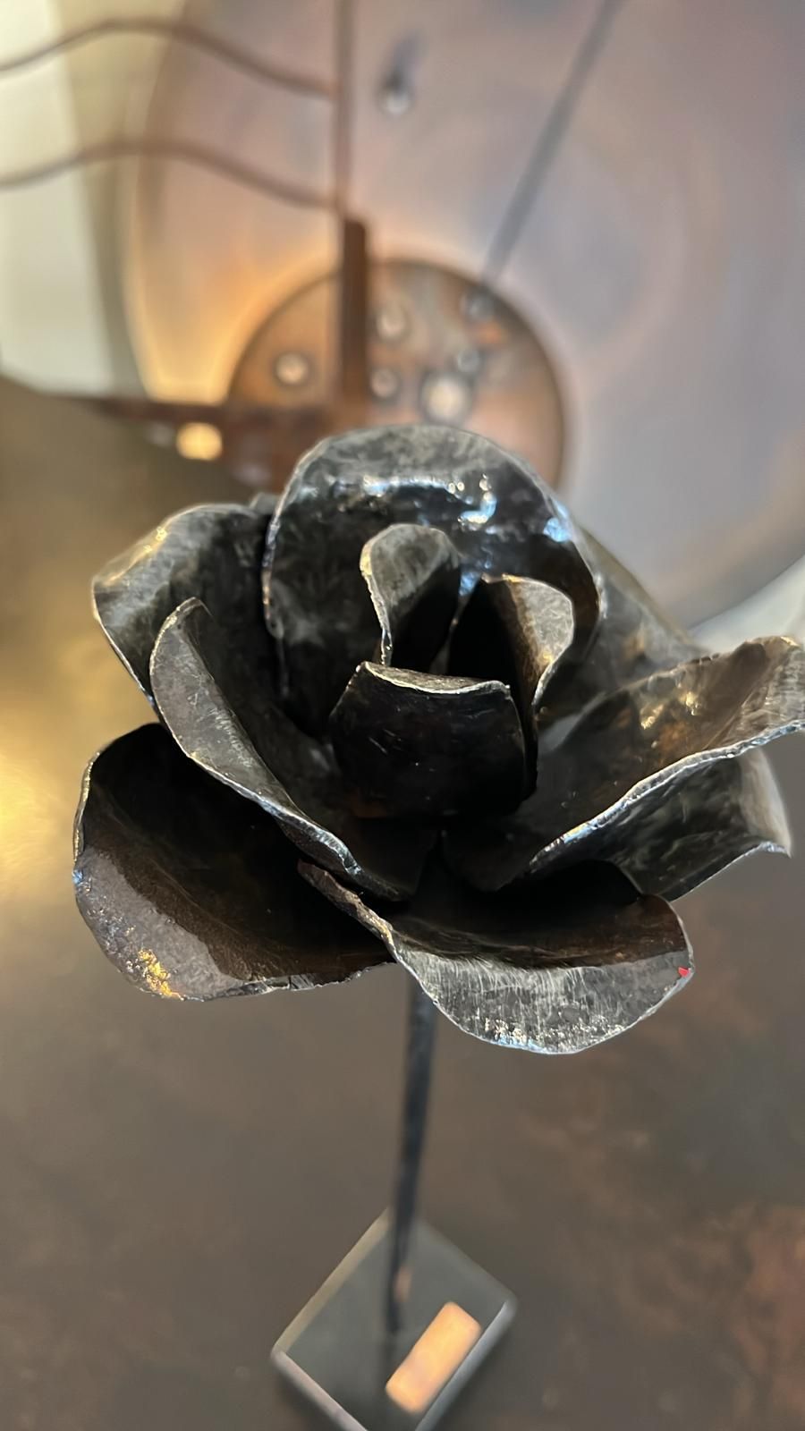 rosa