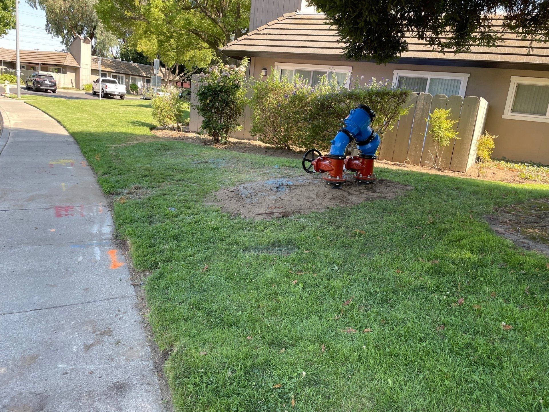 backflow tester near me