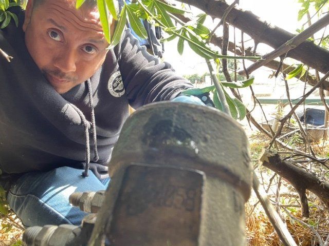 Backflow Testing