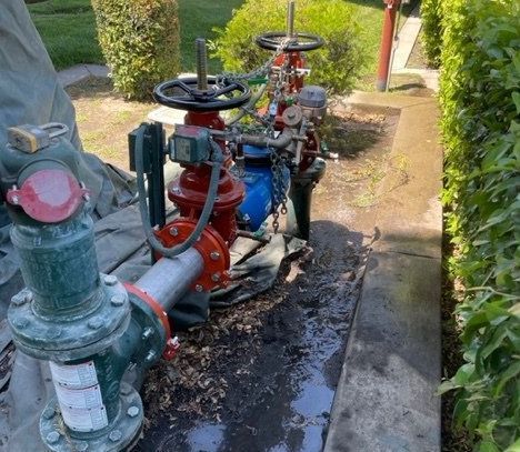 Backflow Valve