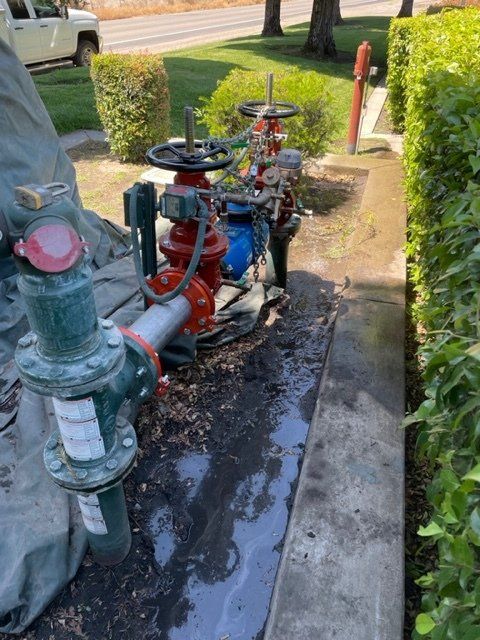 backflow testing near me