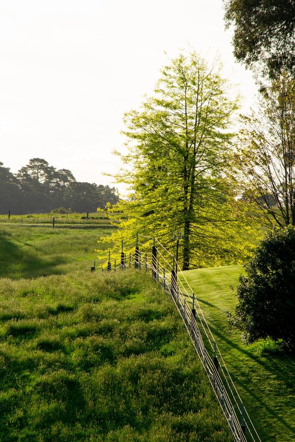 Rural Fence - Bendigo, VIC -  Action Fencing & Contracting